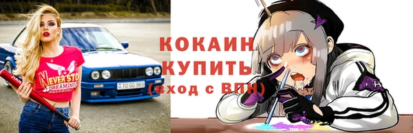 прущие грибы Пересвет