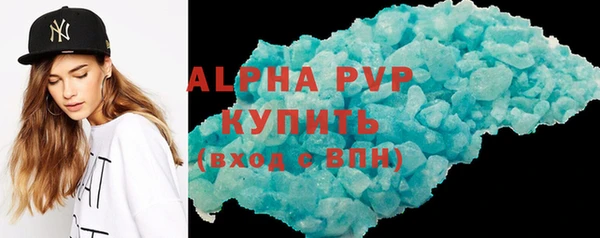 прущие грибы Пересвет