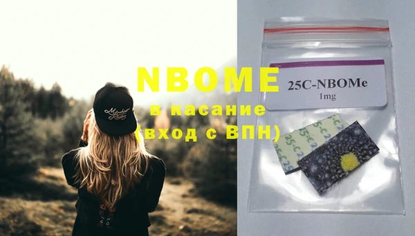 прущие грибы Пересвет