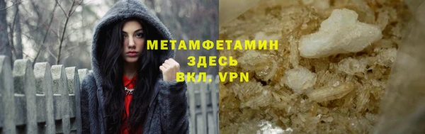 прущие грибы Пересвет