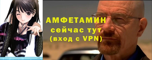 прущие грибы Пересвет