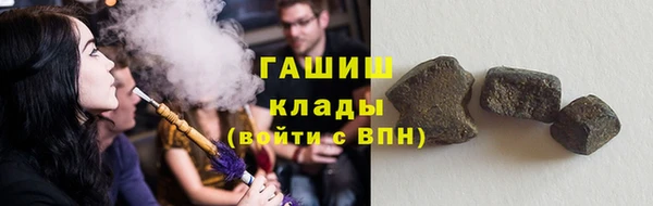 прущие грибы Пересвет