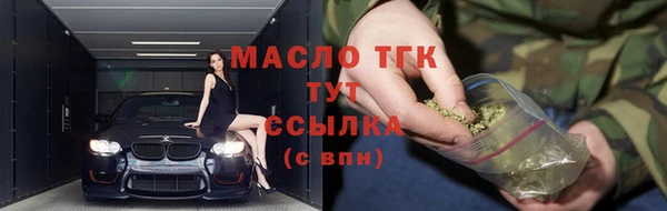 прущие грибы Пересвет