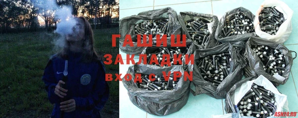 прущие грибы Пересвет