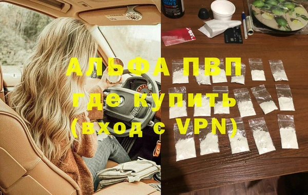 прущие грибы Пересвет