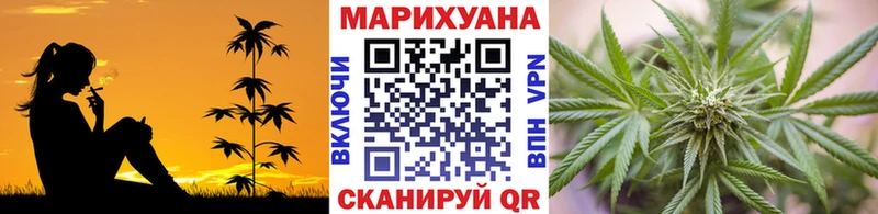 Конопля SATIVA & INDICA Терек